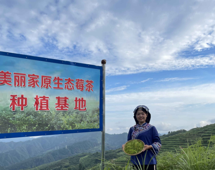第六代硒产品是什么