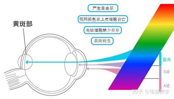 第六代硒产品是什么