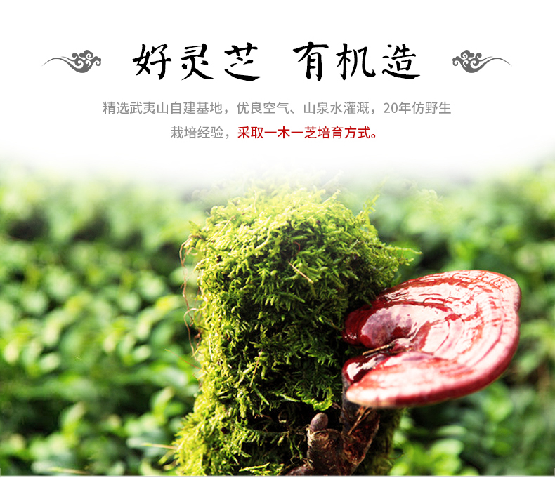 硒维康口嚼片成分表