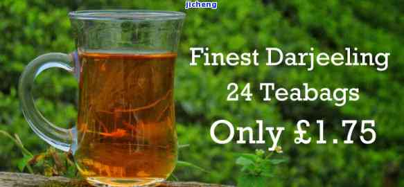 茶有营养价值吗英语，Does Tea Have Nutritional Value?