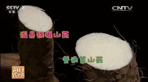 哺乳期缺锌吃锌硒宝