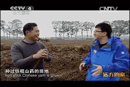 哺乳期缺锌吃锌硒宝