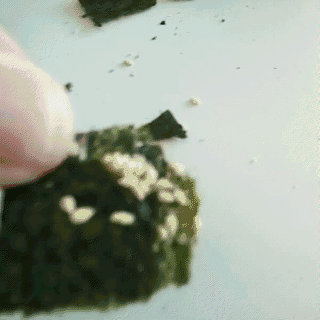 儿童吃什么补铁效果最好
