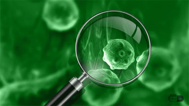 锌硒宝片可以喝酒吗(锌硒宝片不能和什么一起吃)-硒宝网