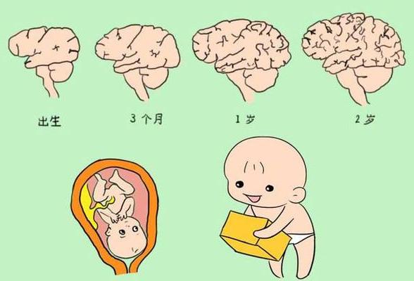 补锌有6大好处，父母Get到，孩子赢在“起跑线”