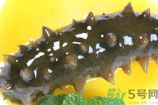 小孩能吃海参吗？四种人不适合吃海参