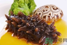 小孩能吃海参吗？四种人不适合吃海参