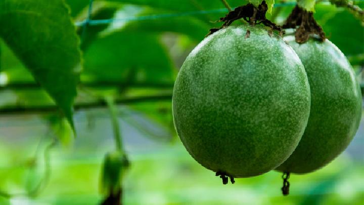 补铁要吃什么(吃补铁要吃多久)-硒宝网