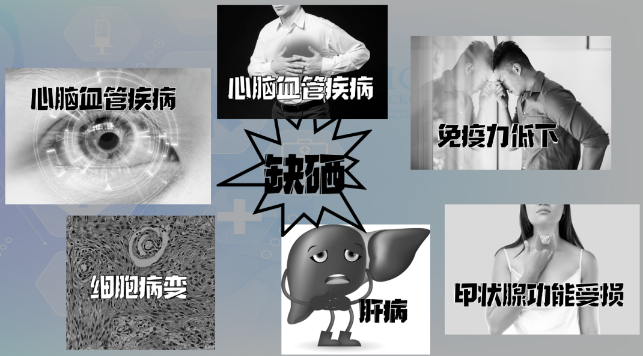 补硒的药推荐哪种药好