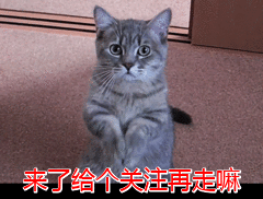 人吃的硒能给狗狗补吗