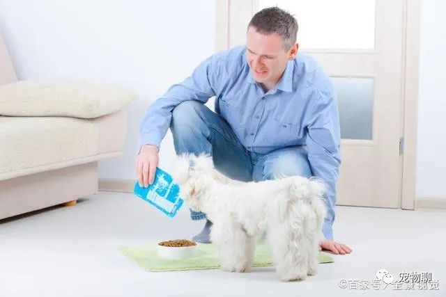 狗狗微量元素多久喂一次(狗狗微量元素和维生素区别)-硒宝网