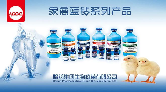 补硒半年后的反应变化