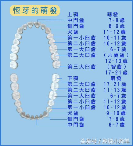 一颗心补钙