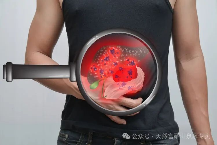 砷重度异??梢圆刮穑ㄖ囟炔挂斐I槲梢月穑?硒宝网