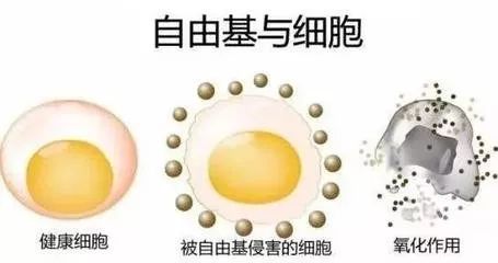 补硒会引起红斑狼疮不