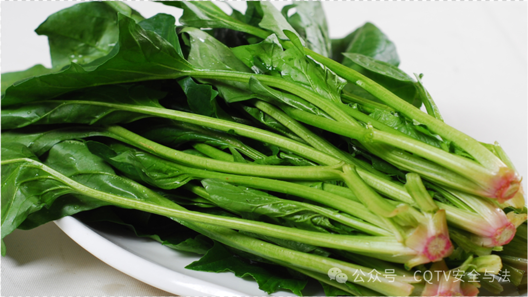 补钙钙片哪种最好
