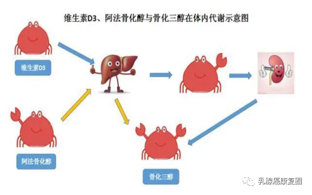 补硒有药片吗怎么吃的