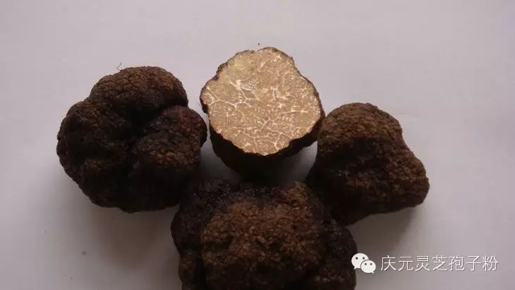 补植物硒对肝癌有用吗