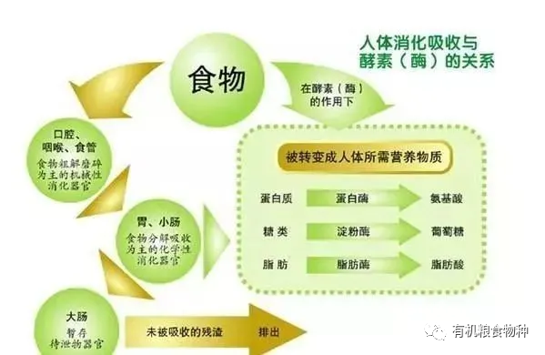 什么人适宜补硒元素呢