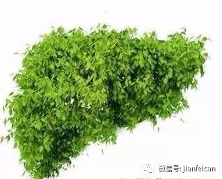 补硒同时可以吃b族吗