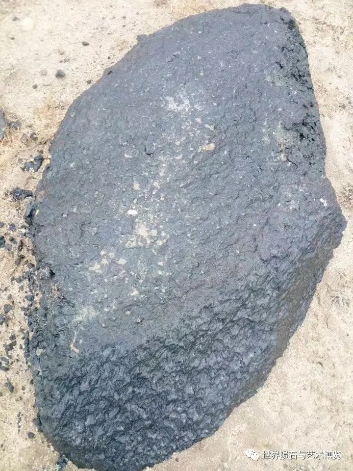 补硒可有效防治哮喘?。ㄎ梢灾瘟葡穑?硒宝网