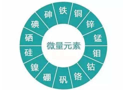 成人有必要做微量元素检查吗