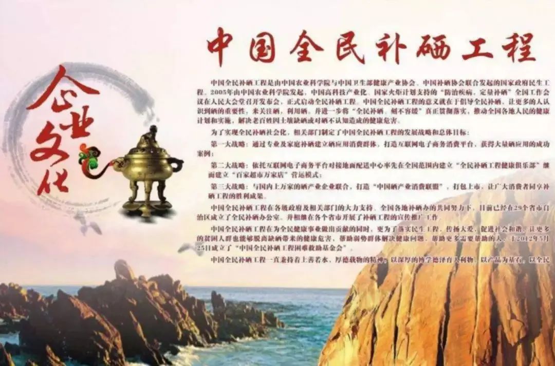 单独补硒的营养素产品