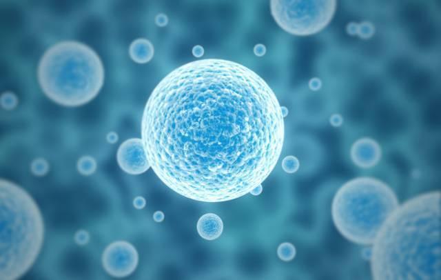 甲减要吃哪些补硒的药(甲减补硒要补多长时间)-硒宝网