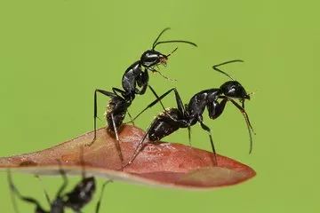 鼻咽癌要补硒吗为什么