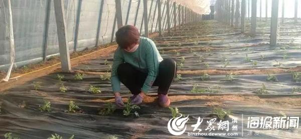 补硒对新冠病毒有用吗