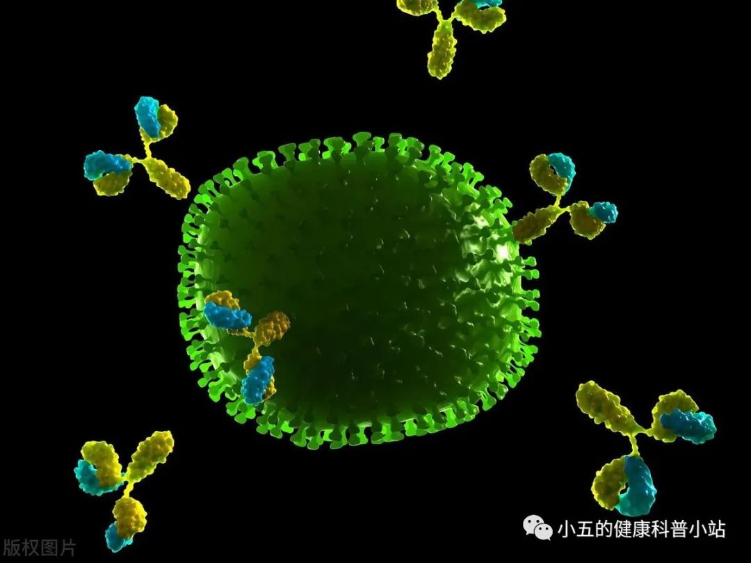 中国人缺硒怎么补的快(中国人缺不缺硒)-硒宝网