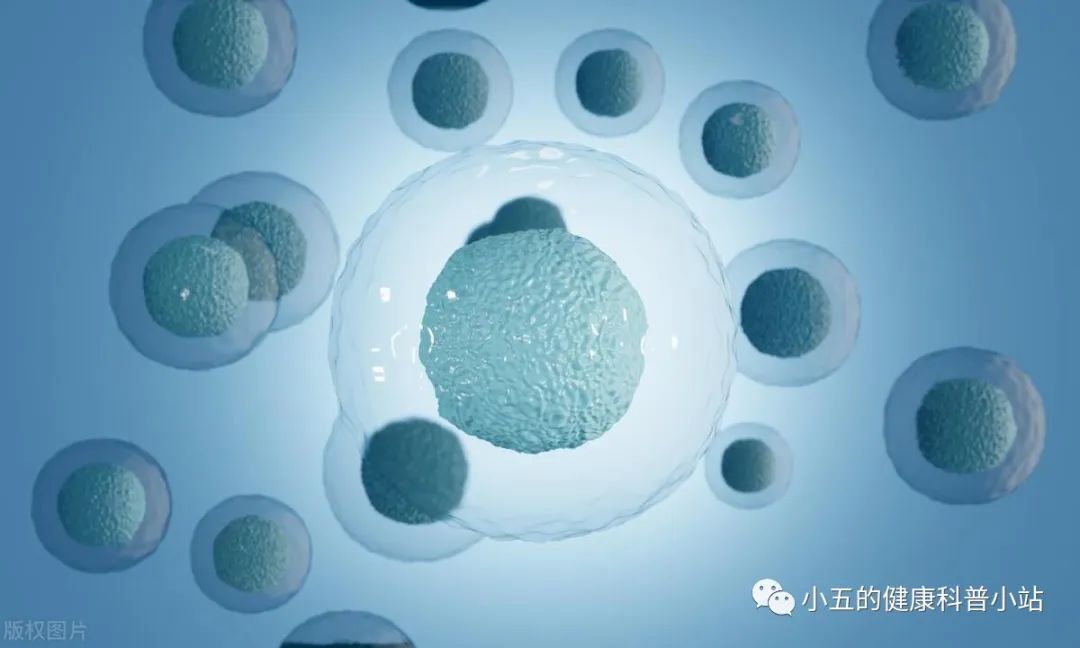 中国人缺硒怎么补的快(中国人缺不缺硒)-硒宝网