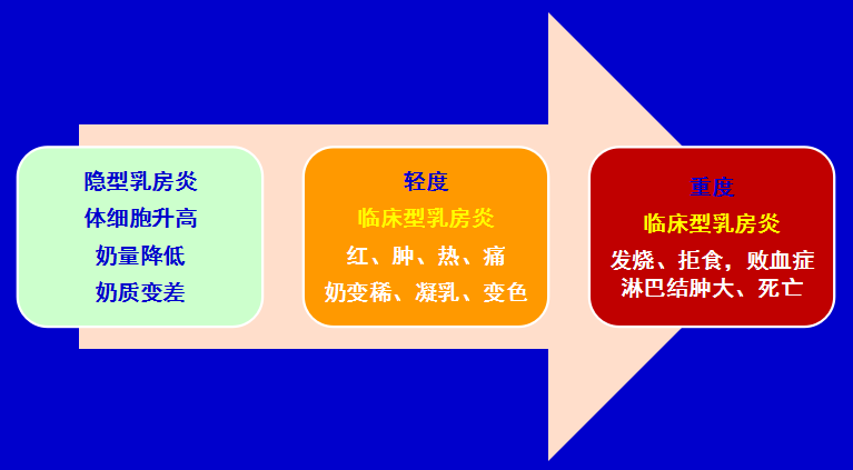 一头牛补多少亚硒酸钠