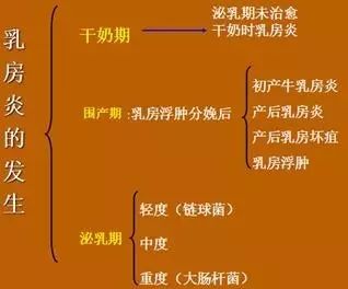 一头牛补多少亚硒酸钠
