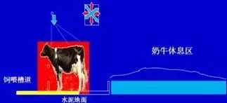 一头牛补多少亚硒酸钠