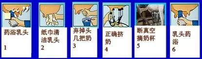 一头牛补多少亚硒酸钠