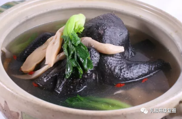 锌镁补剂和锌硒的区别