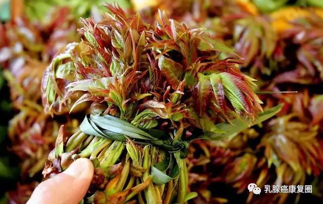 锌镁补剂和锌硒的区别