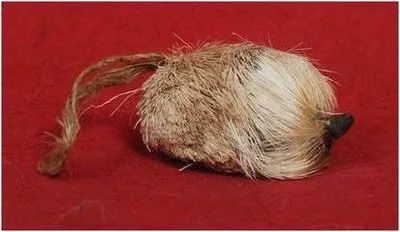 补硒分为哪三代药物呢(药物补硒有副作用吗)-硒宝网