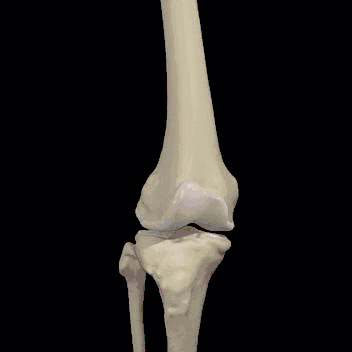 男人补硒多少钱一次呢