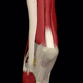 男人补硒多少钱一次呢