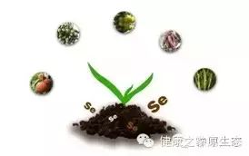 慢性溃疡性结肠炎补硒