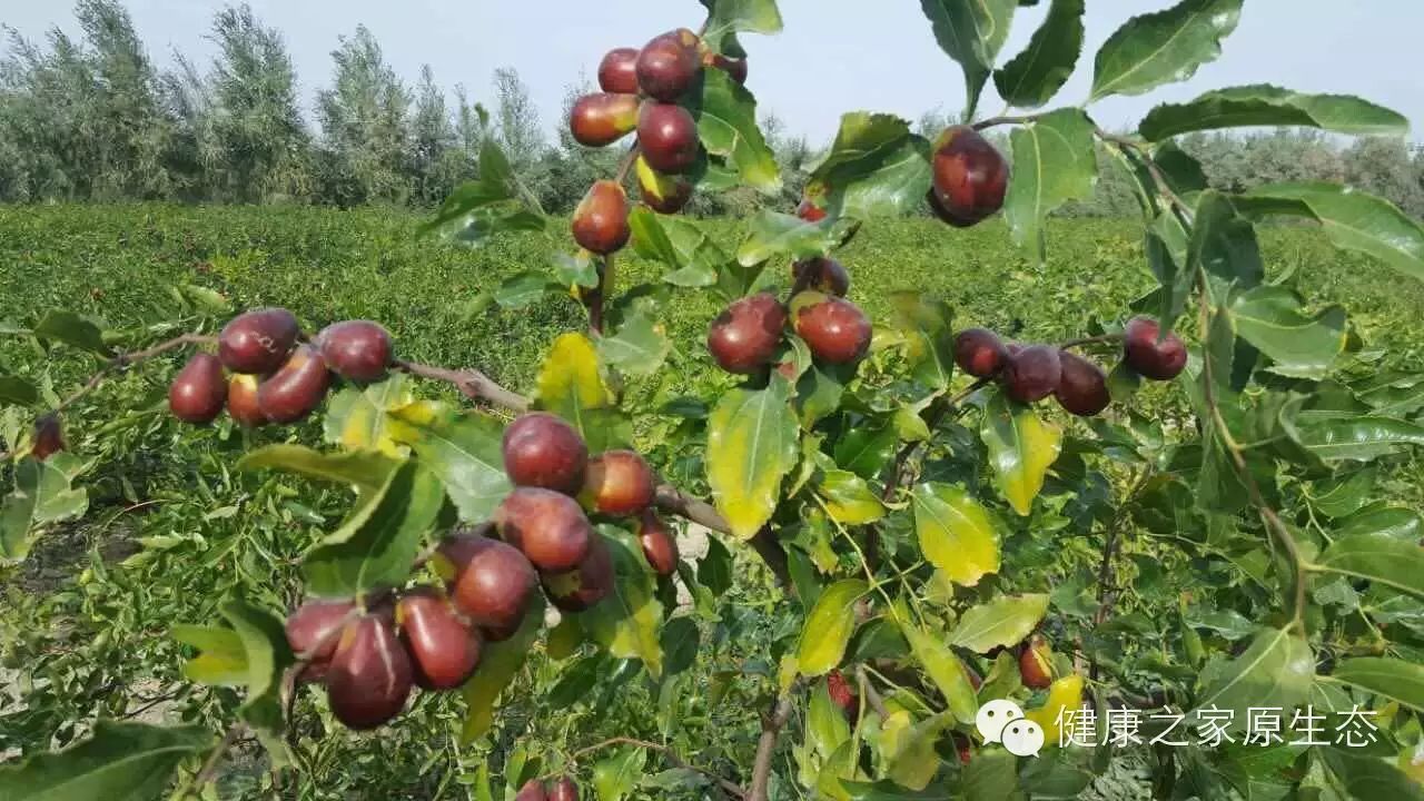 慢性溃疡性结肠炎补硒
