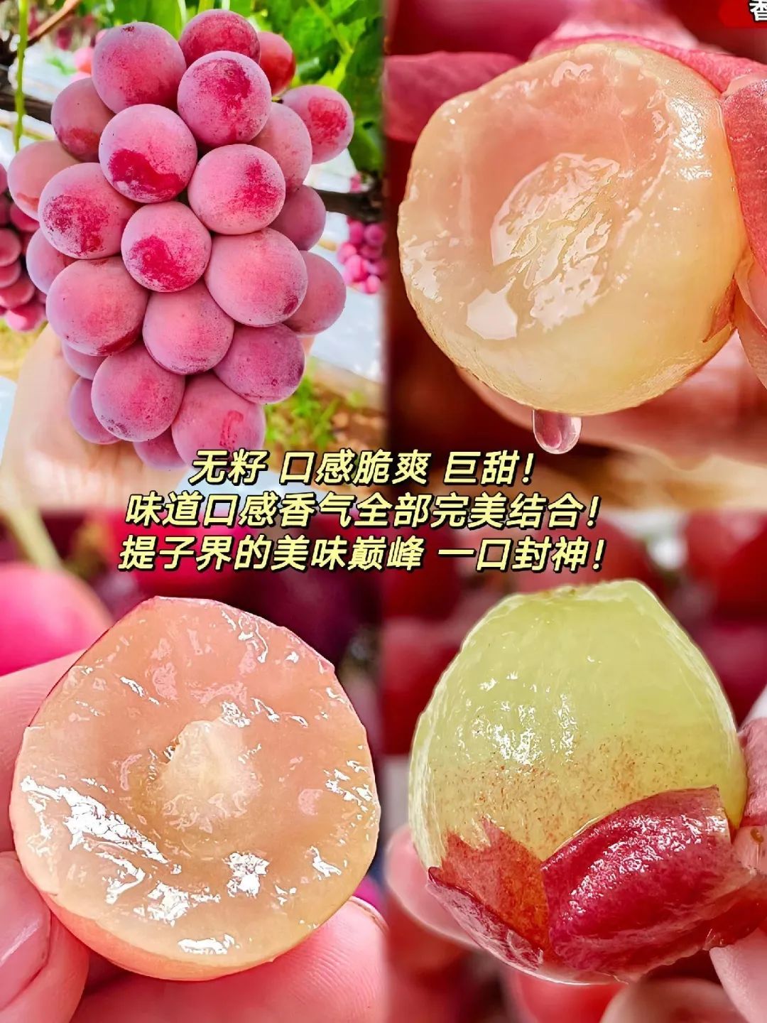 儿童补铁哪个牌子好