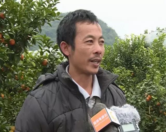 加强富硒产品研究开发