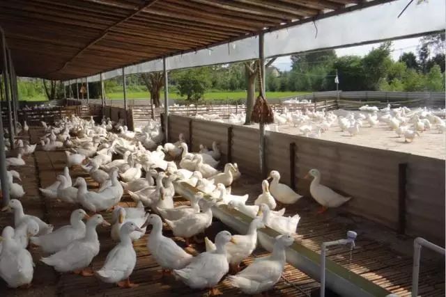 加强富硒产品研究开发