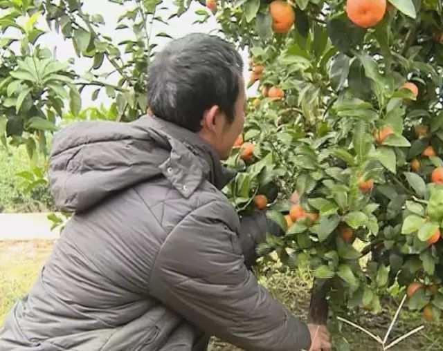 加强富硒产品研究开发