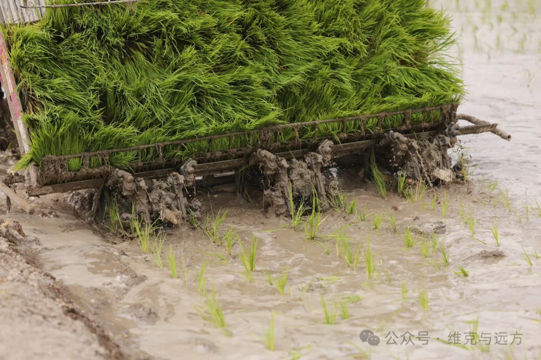 阿拉尔富硒农产品认证