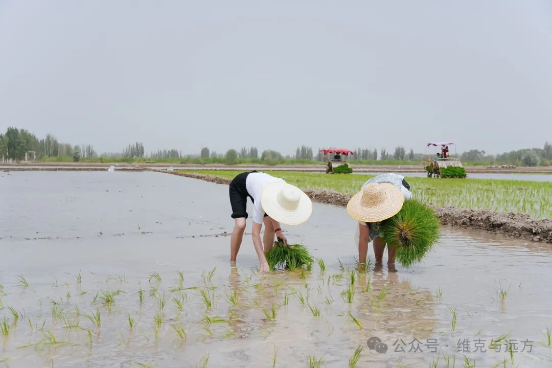 阿拉尔富硒农产品认证