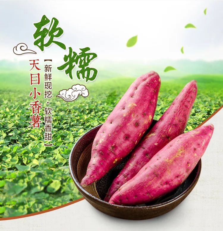 富硒地瓜什么产品好吃